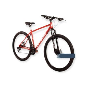 Bicicleta ENRIQUE FENIX R29 21v
