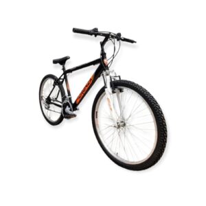 Bicicleta FIORENZA Alpina R29 Acero Shimano